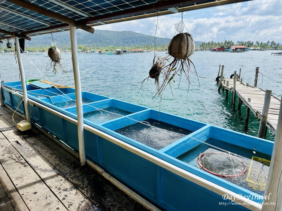 DayDayTravel.hk
